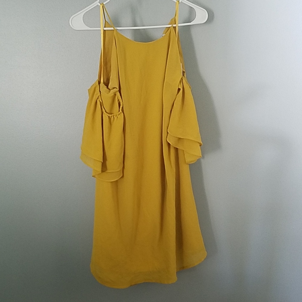 Naked Zebra NWT Dress